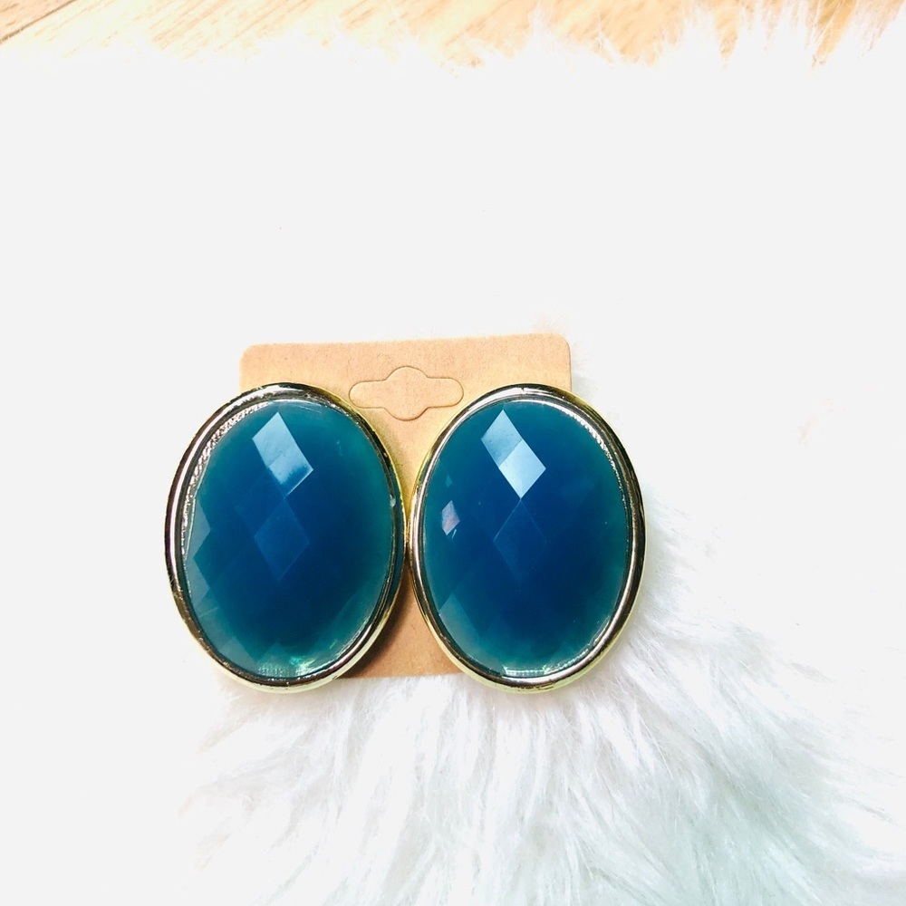 Large Pierced Earrings
